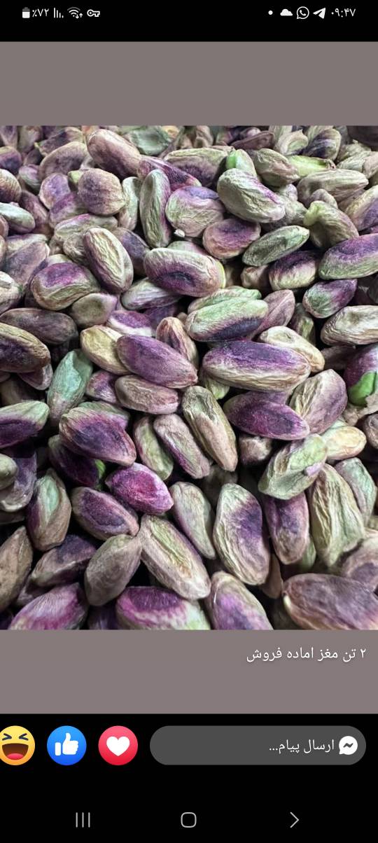 تصویر 4 از خرید مغز پسته درجه یک صادراتی + قیمت فروش استثنایی