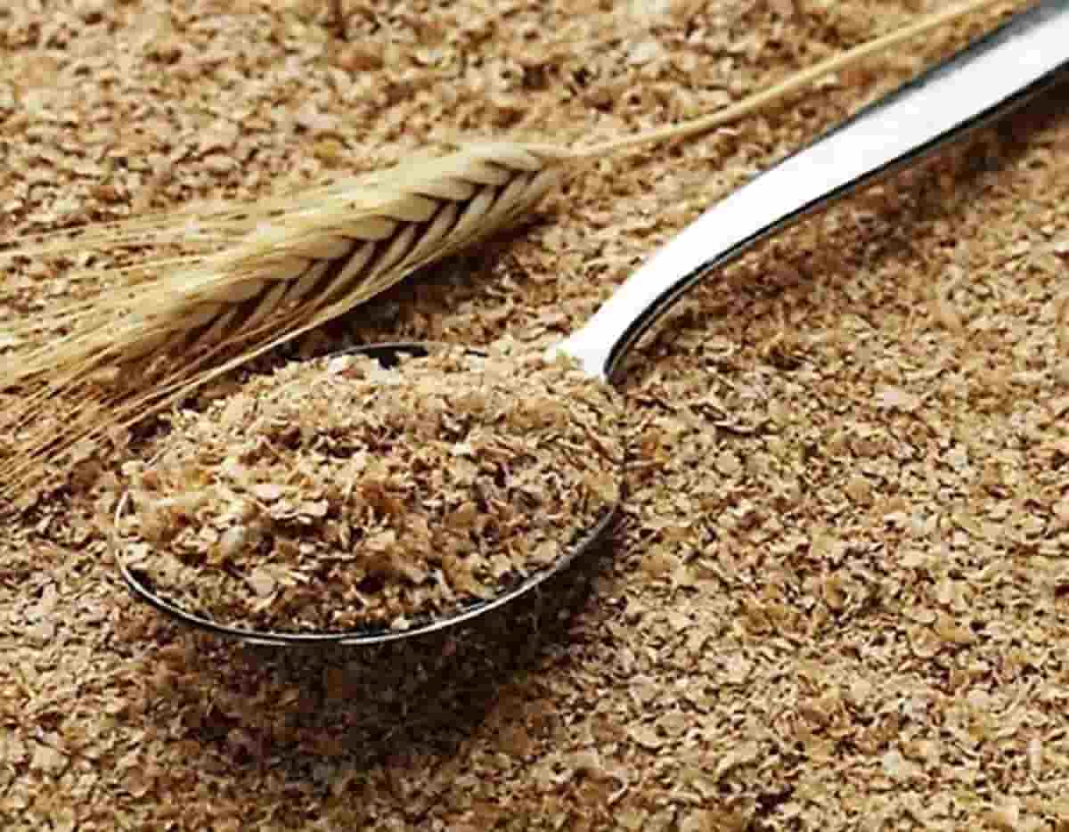 فروش سبوس گندم دامی