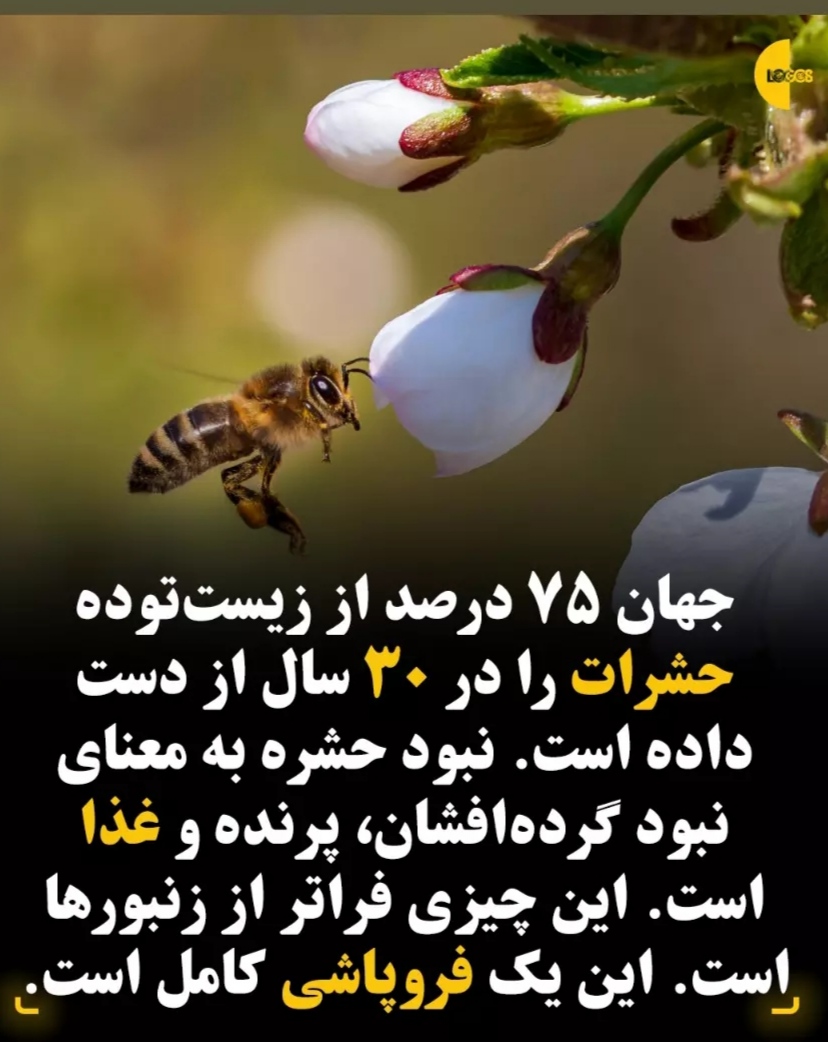 تصویر 1 از شوینده چهار فصل گیاهان