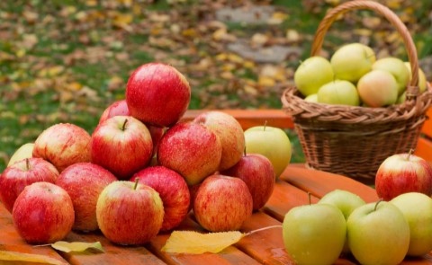 تصویر 3 از خرید سیب از باغدار اشنویه با فروش عمده