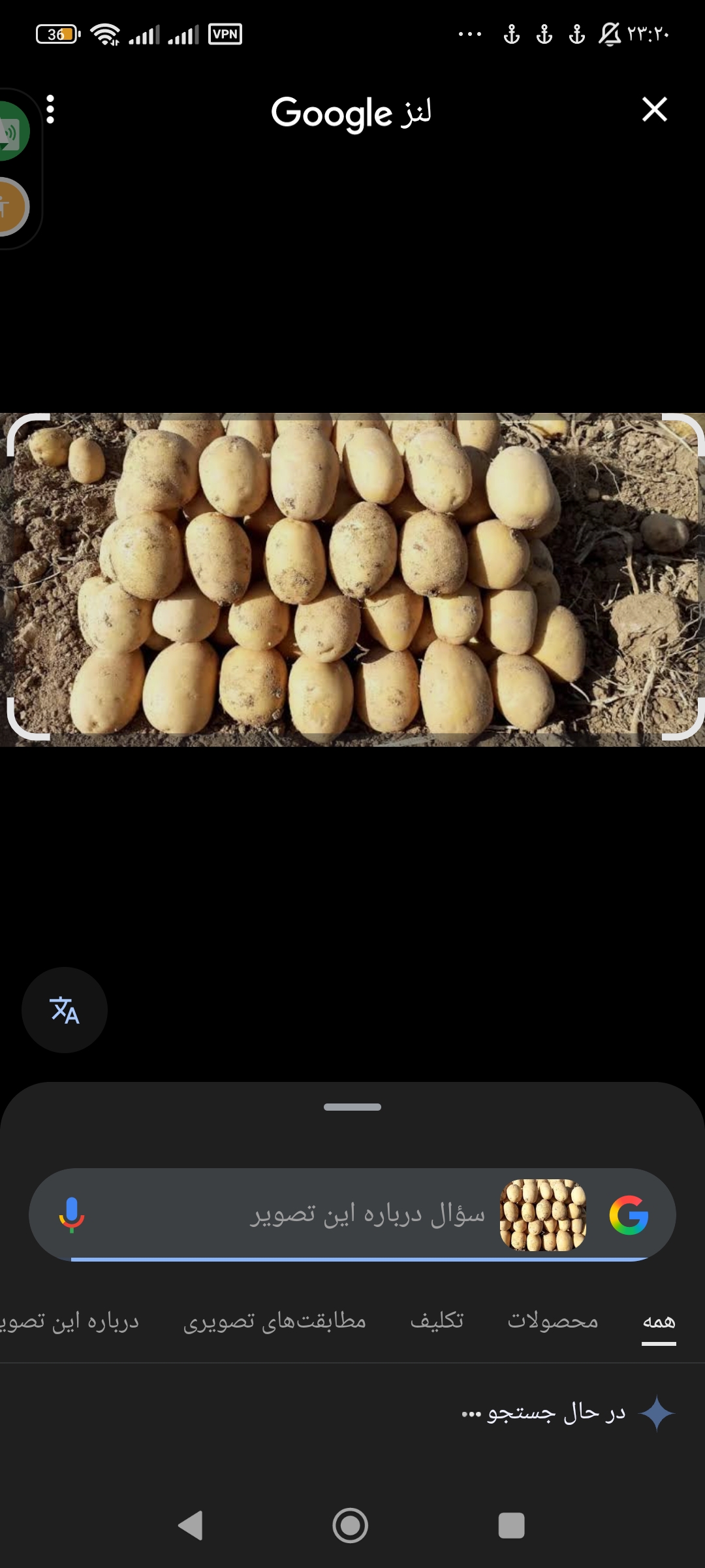 تصویر 1 از فروش سیب زمینی عمده