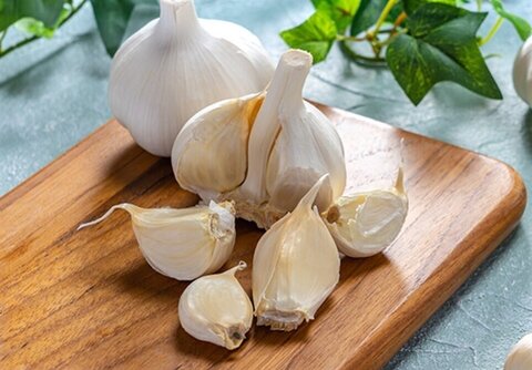 تصویر 3 از خرید سیر صادراتی + بازار فروش عمده
