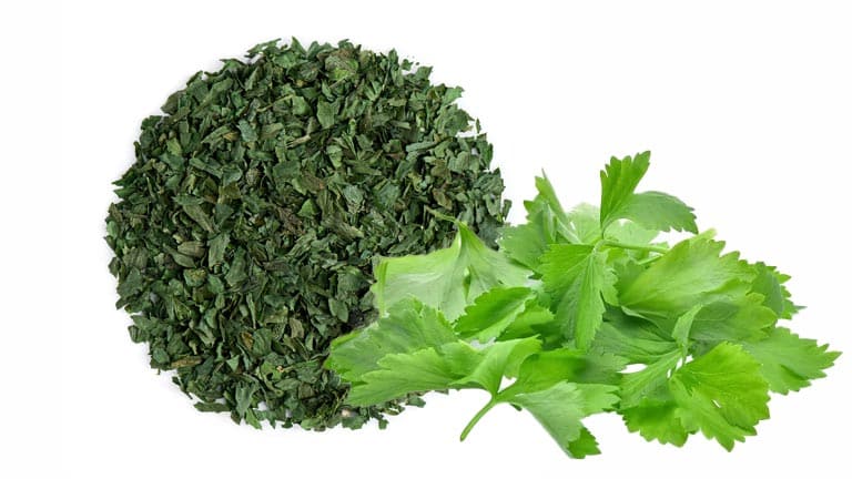 تصویر 4 از خرید کرفس خشک خانگی