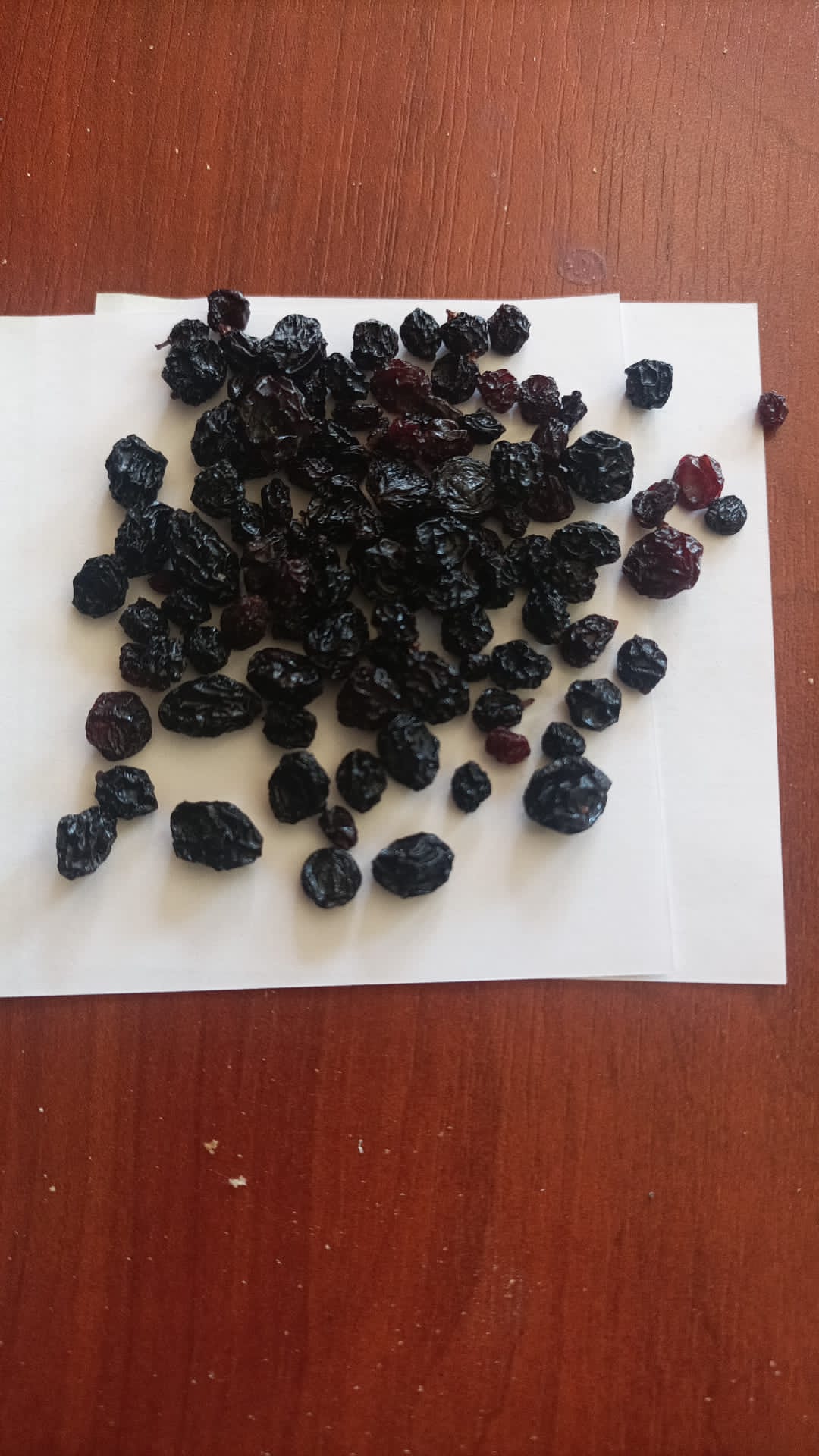 تصویر 1 از کشمش ریز بیدانه آفتابی + مخصوص پخت کیک