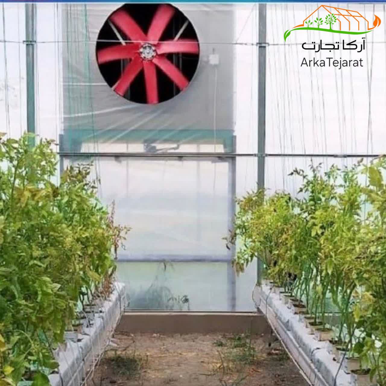 تصویر 3 از فروش کولر صنعتی سلولزی + خرید بی واسطه و ارزان