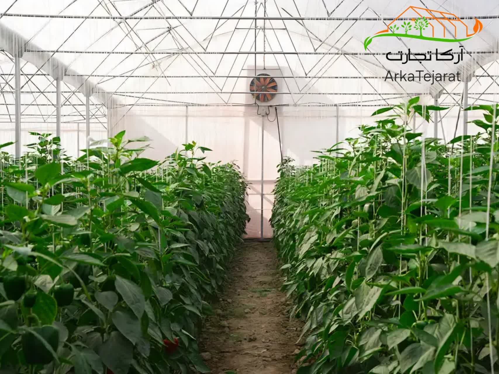 تصویر 1 از فروش کولر صنعتی سلولزی + خرید بی واسطه و ارزان