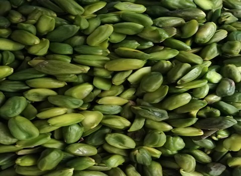 تصویر 1 از قیمت مغز پسته کال صادراتی + خرید باور نکردنی