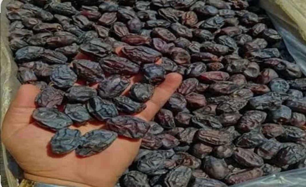 تصویر 5 از خرما کبکاب + قیمت فروش استثنایی