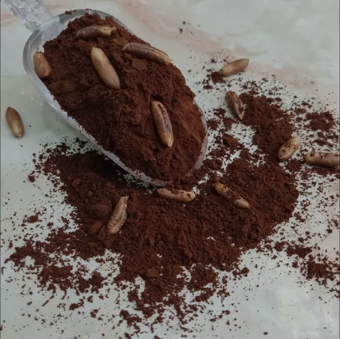 تصویر 1 از پودر قهوه خرما مخصوص صادرات به کلیه کشورها + استاندارد