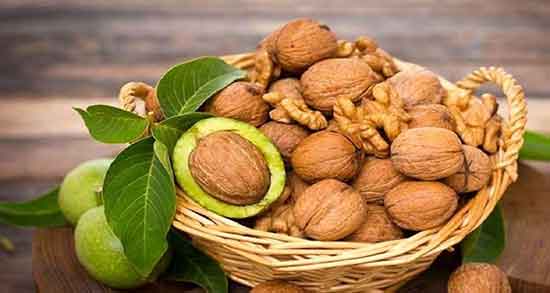 تصویر 1 از گردوی ایرانی پوست کاغذی + فروش عمده