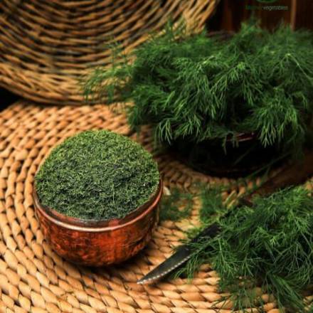 تصویر 4 از قیمت شوید خشک بسته بندی + فروش عمده