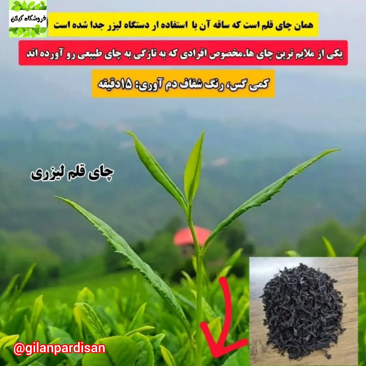چای لیزری خرید