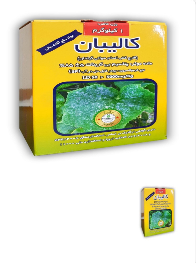 تصویر 1 از خرید قارچ کش ارگانیک برای بیماری سفیدک سطحی