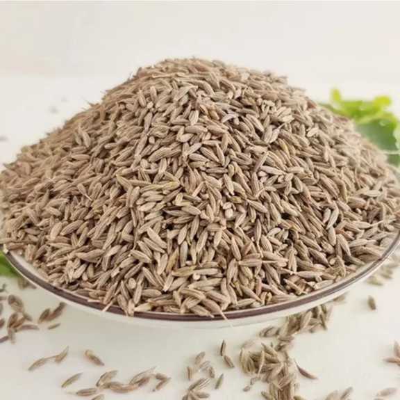 تصویر 3 از نرخ زیره کوهی فله + مناسب داروسازی و عرق‌گیری