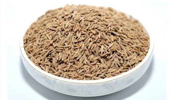 تصویر 3 از زیره سیاه ارگانیک پاک‌شده + قیمت روز بسته ۳۰۰ گرمی