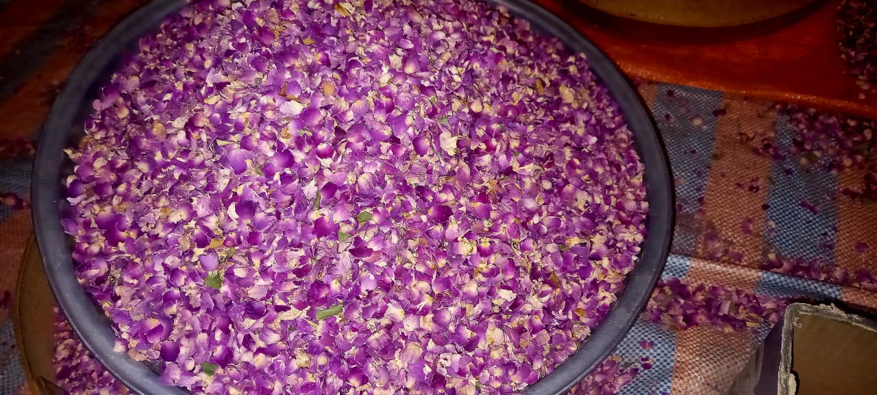 تصویر 1 از قیمت پر گل محمدی درجه یک دارابی