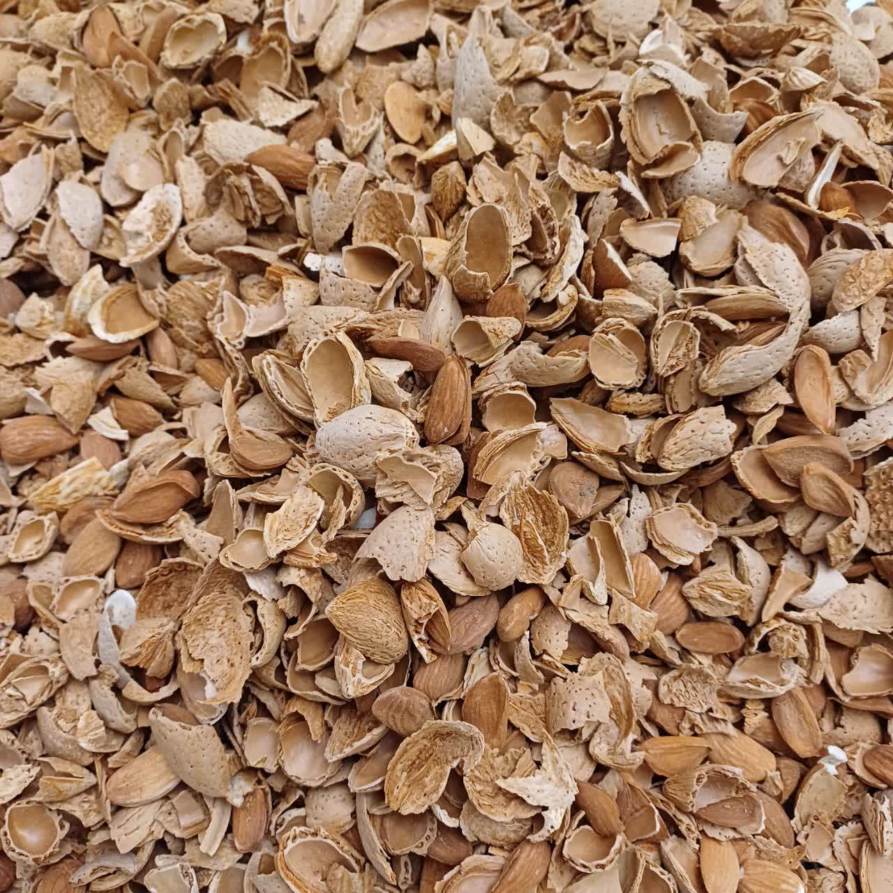 تصویر 1 از قیمت و فروش مغز بادام ربیع 100 دانه