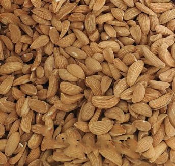 تصویر 1 از خرید عمده مغز بادام سنگی + عمده