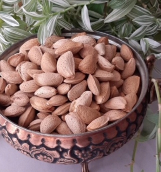 تصویر 4 از قیمت بادام درختی سنگی با پوست + فروش عمده