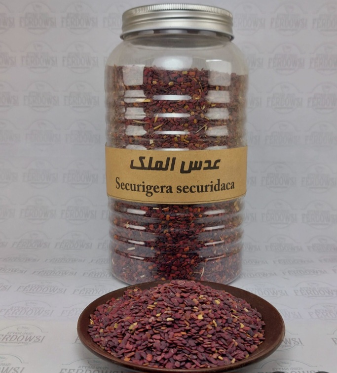 تصویر 3 از عدس الملک + قیمت خرید