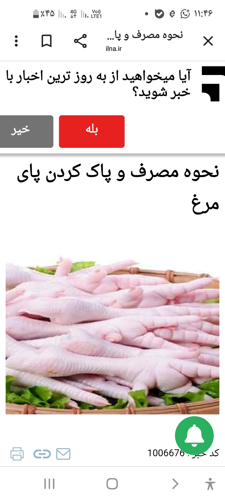 تصویر 2 از بهترین قیمت پای مرغ صادراتی