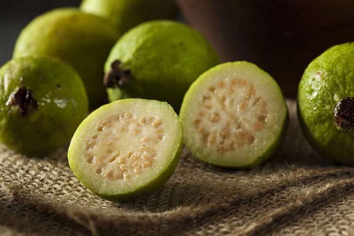 تصویر 2 از فروش عمده گواوا + مستقیم از مزرعه