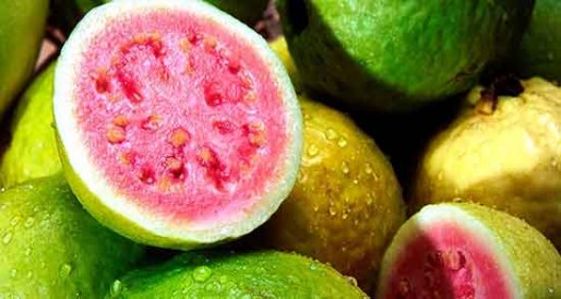 تصویر 3 از فروش عمده گواوا + مستقیم از مزرعه