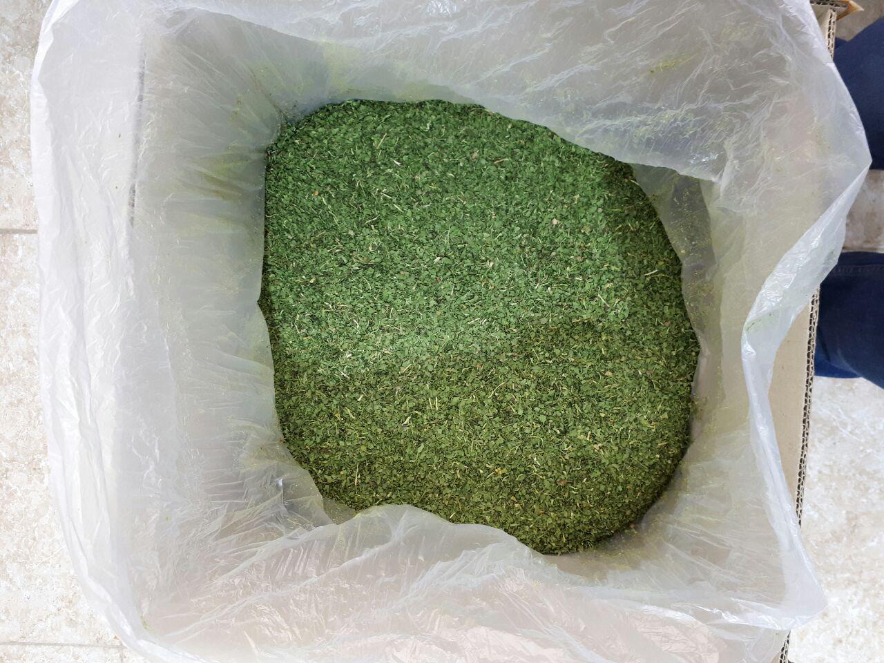 تصویر 1 از فروش گشنیز خشک عمده فارس