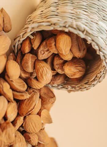 تصویر 1 از بهترین قیمت خرید مغز بادام سنگی درجه یک