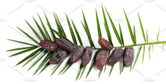 تصویر 1 از خرما پیارم تازه درجه یک + فروش ویژه