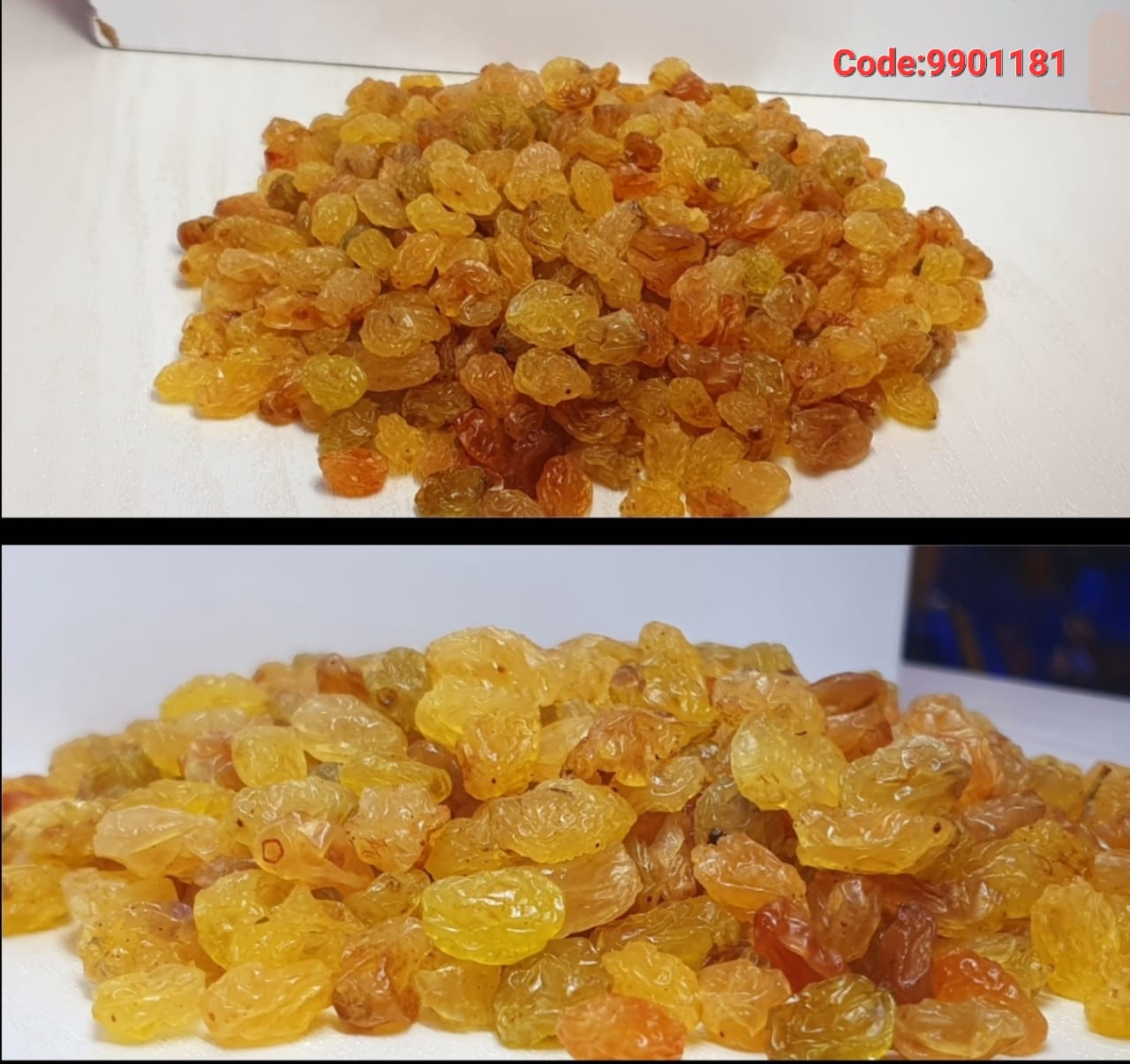 تصویر 3 از قیمت کشمش گلدن