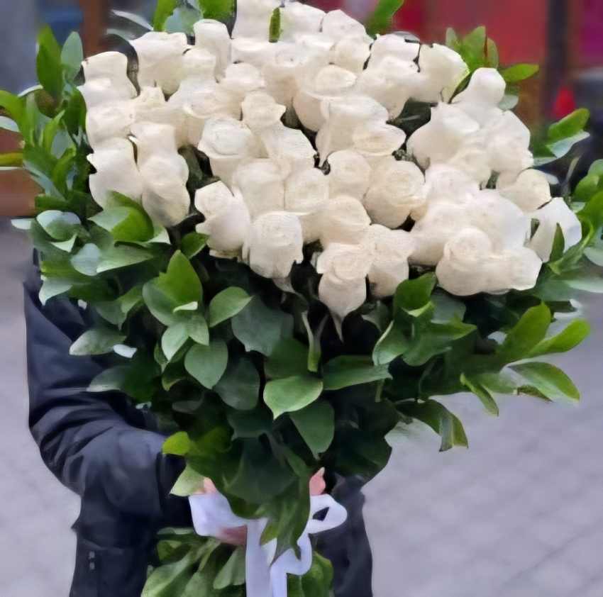 تصویر 5 از فروش ویژه و صادراتی گل رز هلندی با گرید A