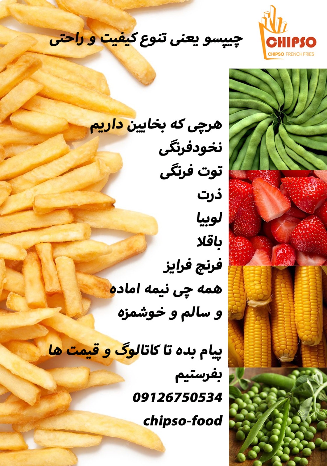 تصویر 2 از ذرت فريز شده با كيفيت  صادراتي