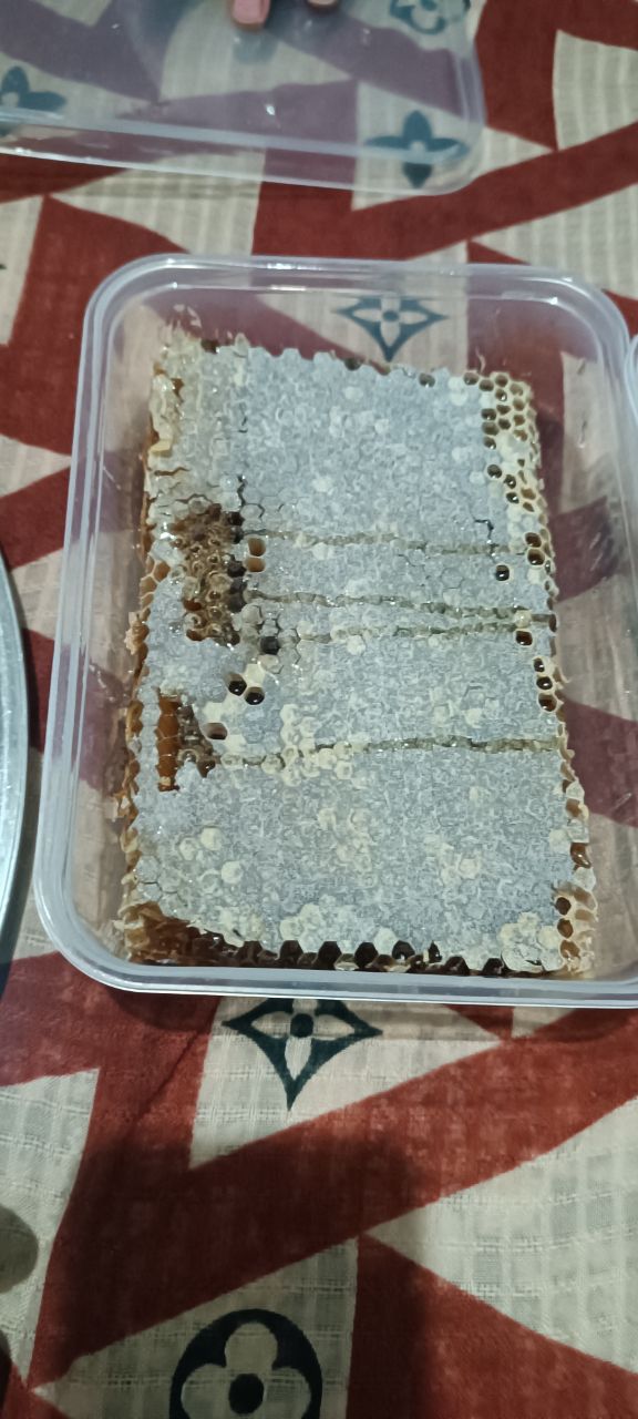 تصویر 3 از عسل طبیعی دشت مغان و اردبیل