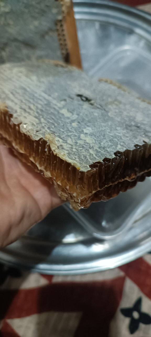 تصویر 1 از عسل طبیعی دشت مغان و اردبیل