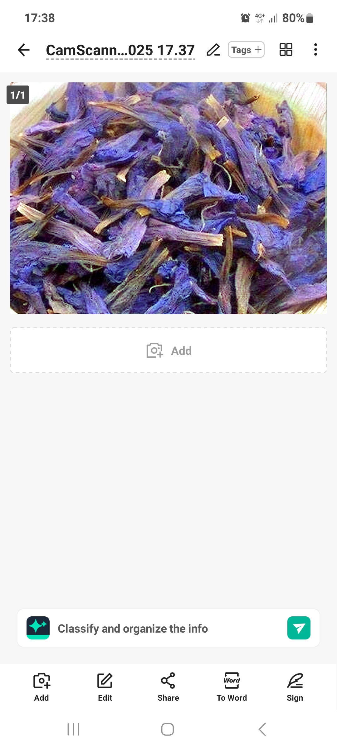 تصویر 1 از قیمت خرید گل گاو زبان خشک شده
