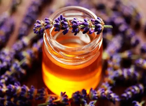تصویر 4 از عسل اسطوخودوس کوهی + قیمت خرید