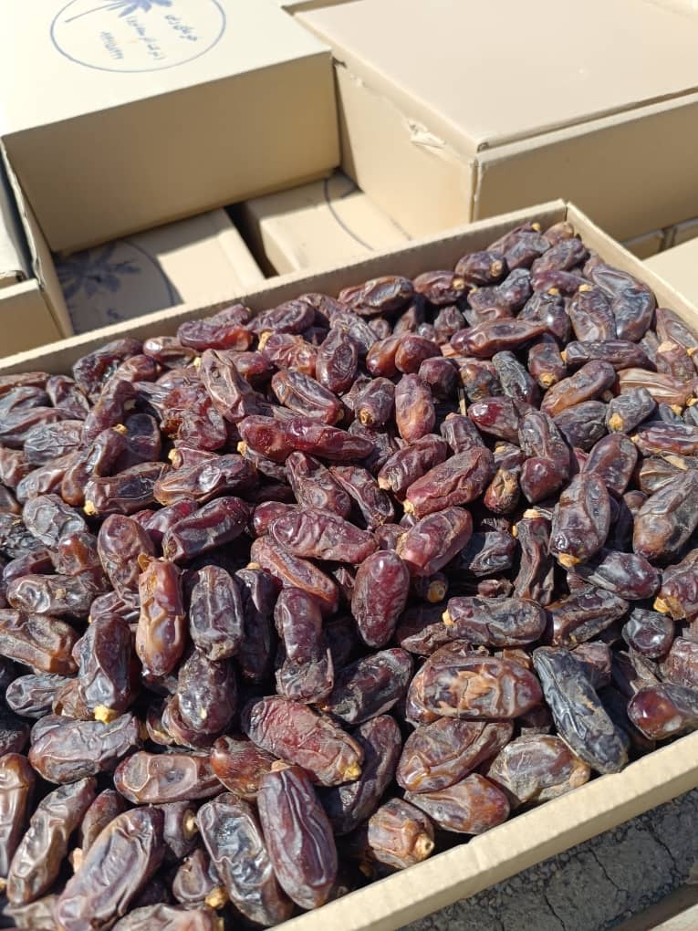 تصویر 3 از قیمت خرما استعمران شادگان