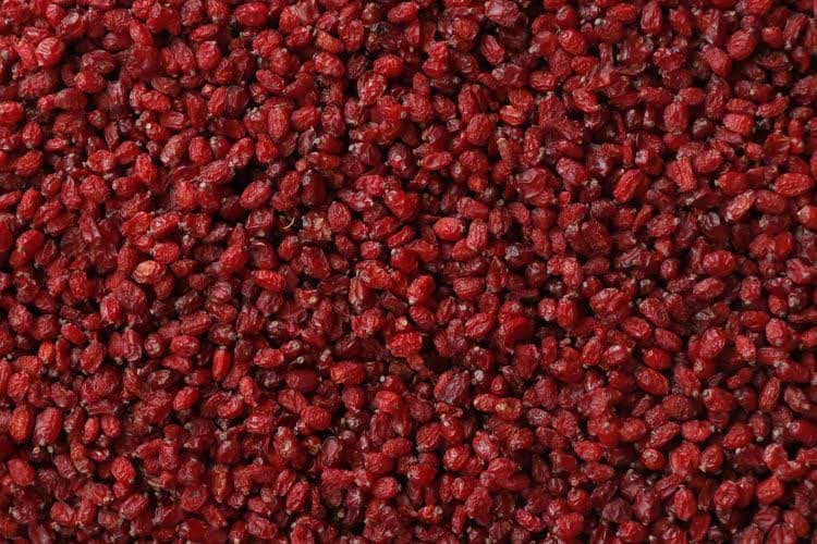 تصویر 3 از قیمت روز زرشک خشک خراسان جنوبی خرید عمده ویژه فروشگاه‌ها و تجار