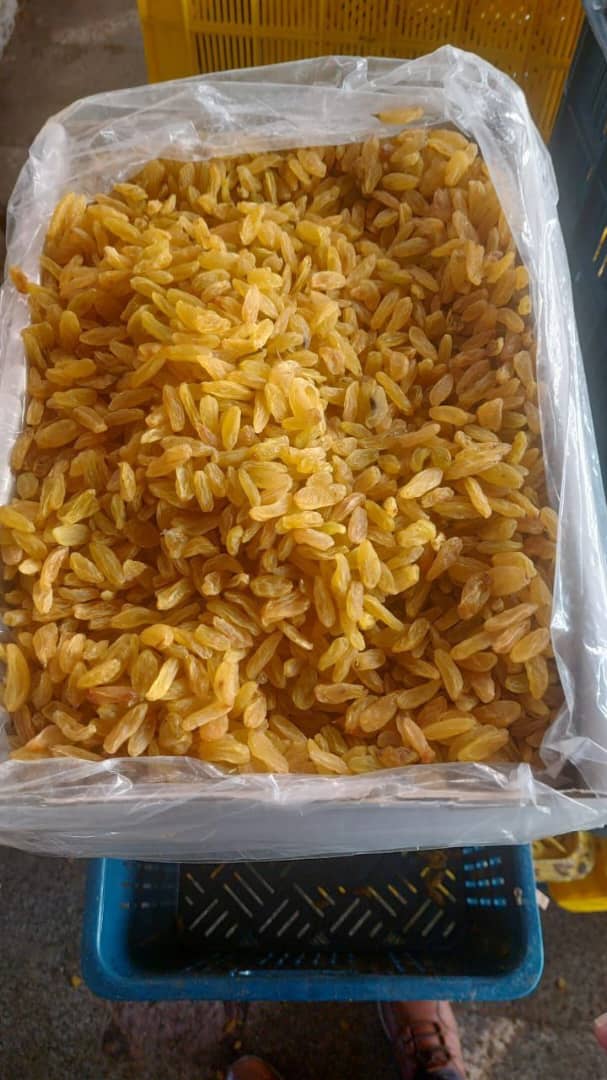 کشمش سبز طبیعی ایران + پخش عمده کارتنی