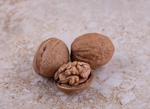 تصویر 2 از مغز گردوی صادراتی اسکو آذربایجان