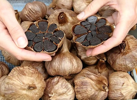سیر سیاه اهواز تخمیر کنترل‌ شده با ماندگاری بالا