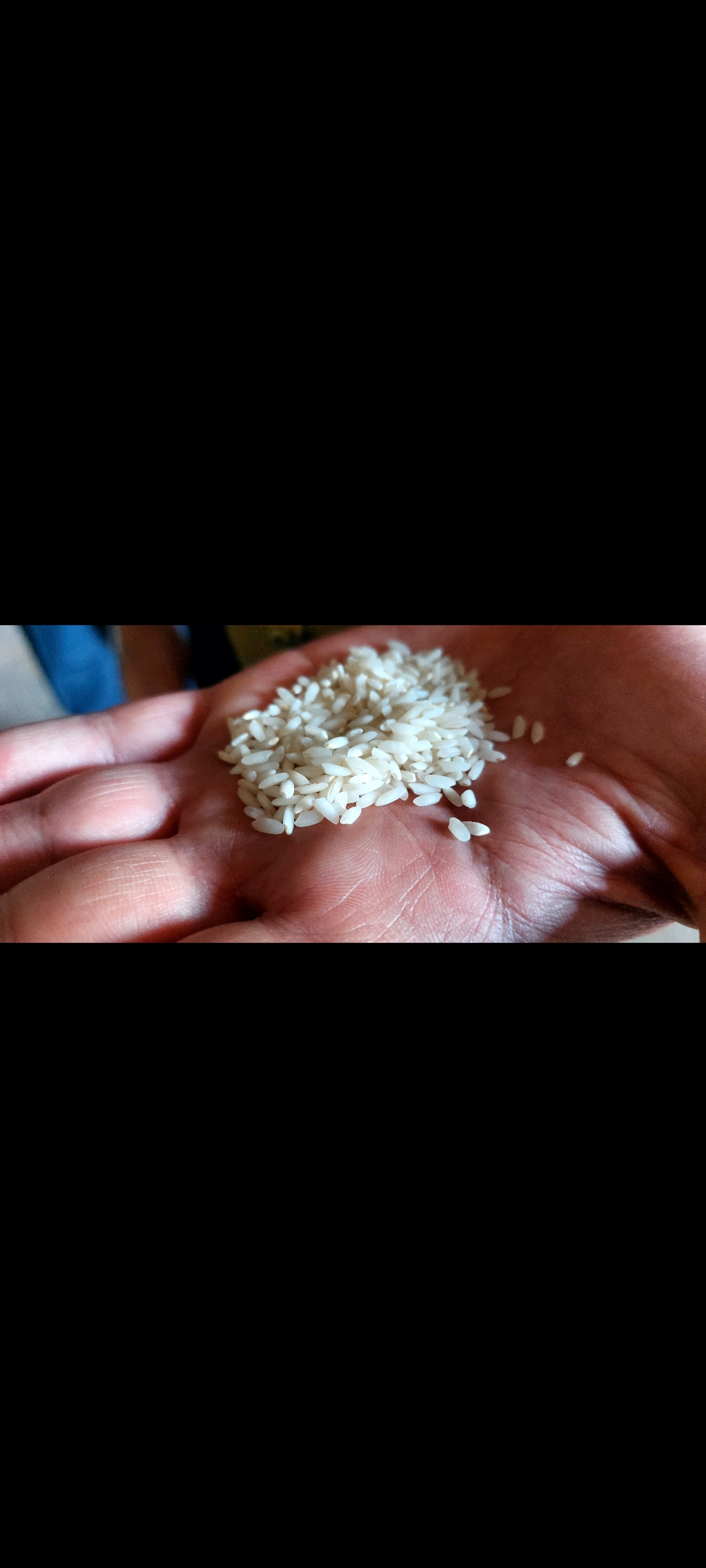 تصویر 4 از قیمت فروش برنج عنبر بو درجه یک اهواز