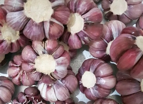 تصویر 2 از قیمت خرید سیر  خشک همدان + فروش ویژه