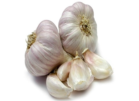 تصویر 3 از قیمت خرید سیر تازه خشک + فروش ویژه