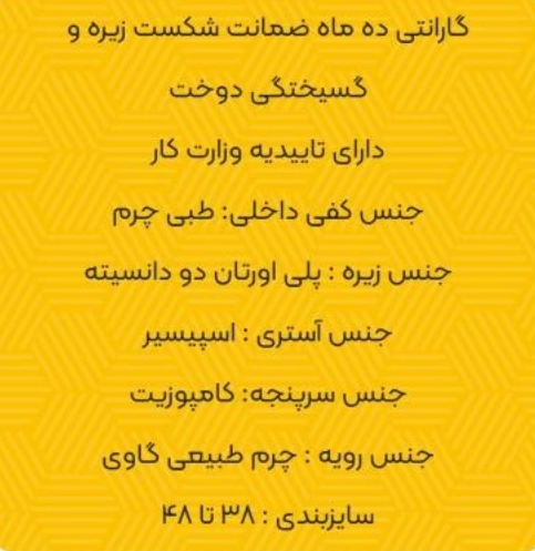 تصویر 1 از کفش ایمنی کارن