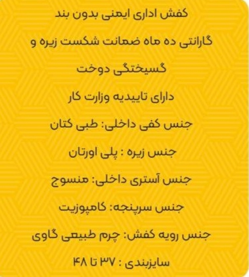 تصویر 1 از کفش ایمنی پاپکو