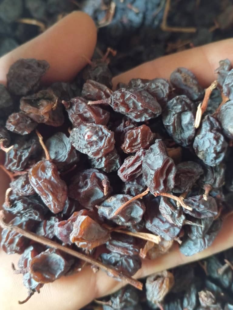 تصویر 2 از مویز با چوب هسته دار