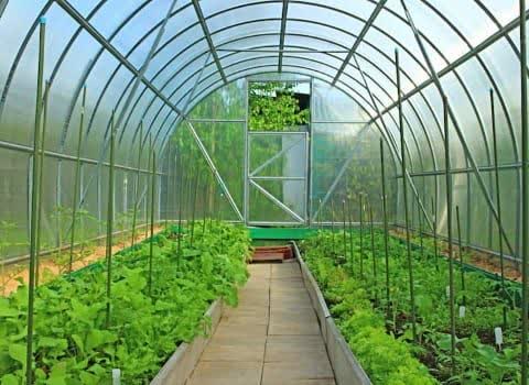 قیمت روز نایلون گلخانه ای پنج لایه