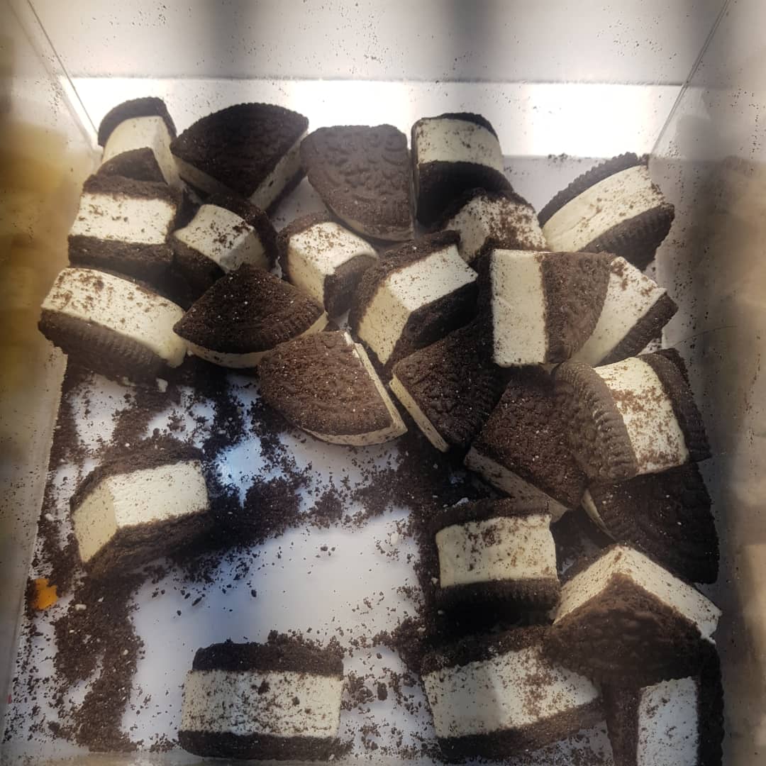 تصویر 1 از خرید بستنی خشک اورئو